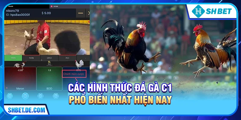 Các hình thức Đá gà C1 phổ biến nhất hiện nay