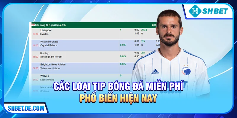 Các loại Tip bóng đá miễn phí phổ biến hiện nay