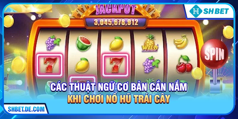 Các thuật ngữ cơ bản cần nắm khi chơi Nổ hũ trái cây