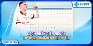 Tip bóng đá miễn phí cực chuẩn cùng bí kíp soi kèo luôn thắng 