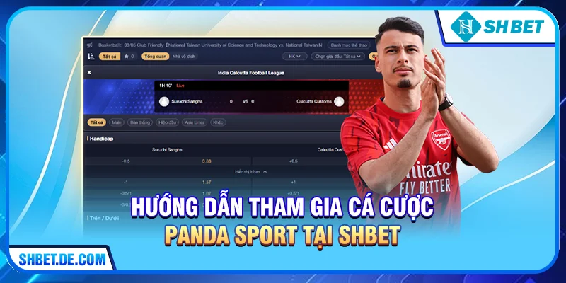 Panda Sport – Sảnh Cá Cược Thể Thao Đẳng Cấp Tại SHBET