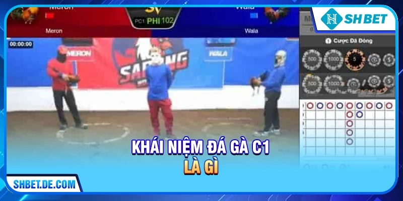 Khái niệm Đá gà C1 là gì