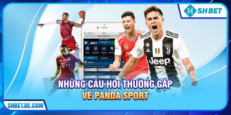Những câu hỏi thường gặp về Panda Sport