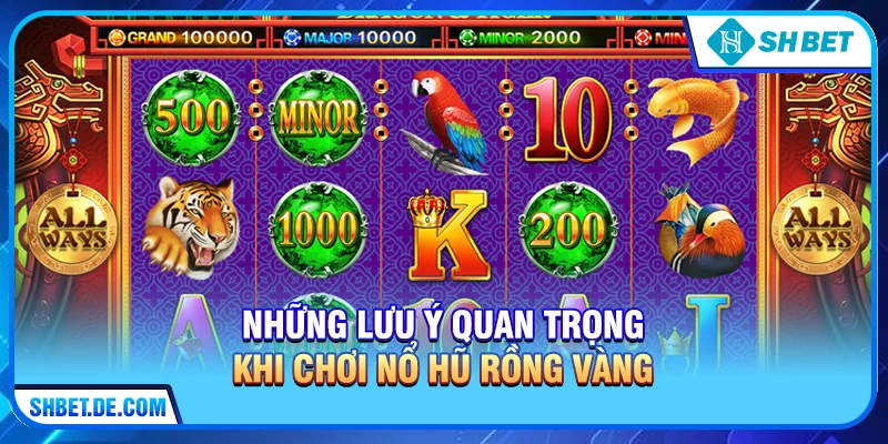 Những lưu ý quan trọng khi chơi Nổ hũ rồng vàng