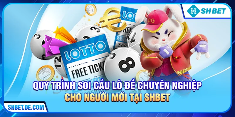 Quy trình Soi cầu lô đề chuyên nghiệp cho người mới tại SHBET