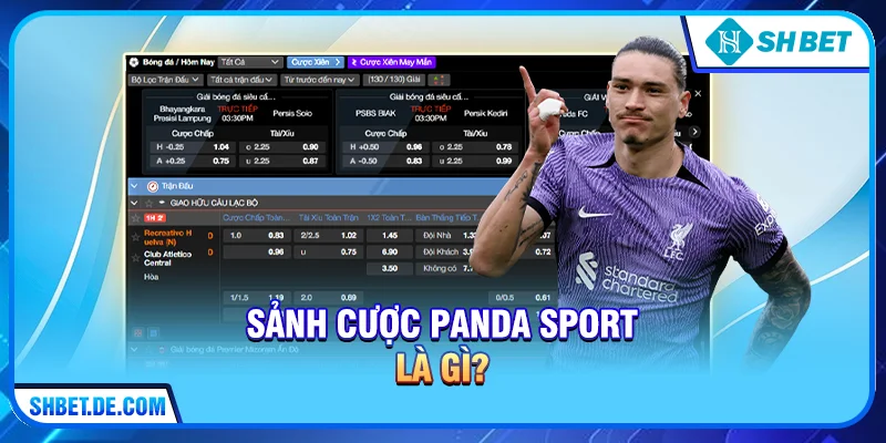 Sảnh cược Panda Sport là gì?