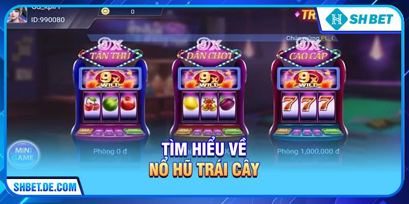 Nổ hũ trái cây – Sảnh Cược Sắc Màu Và Cơ Hội Trúng Jackpot Tại SHBET