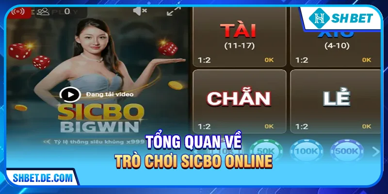 Tổng quan về trò chơi Sicbo online